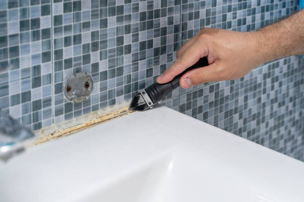 Best Residential Mold Remediation in Gates Mills, OH